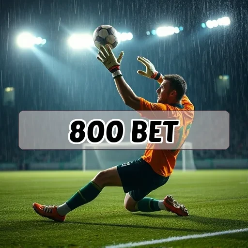 800 bet Jogos de Mesa