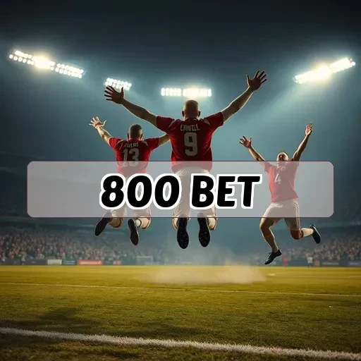 800 bet Torneios Online